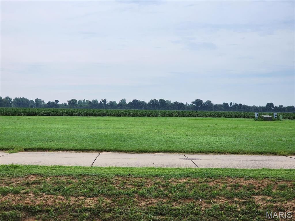Property Photo:  811 Bollweevil Blvd  MO 63801 