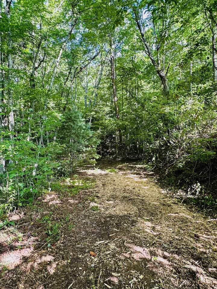 Property Photo: 13.25ac Pounding Mill Rd NC 28904