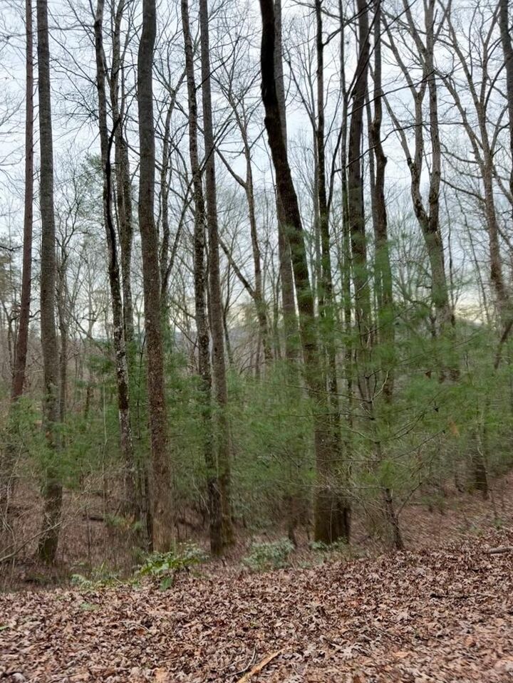 Property Photo: 13.25ac Pounding Mill Rd NC 28904