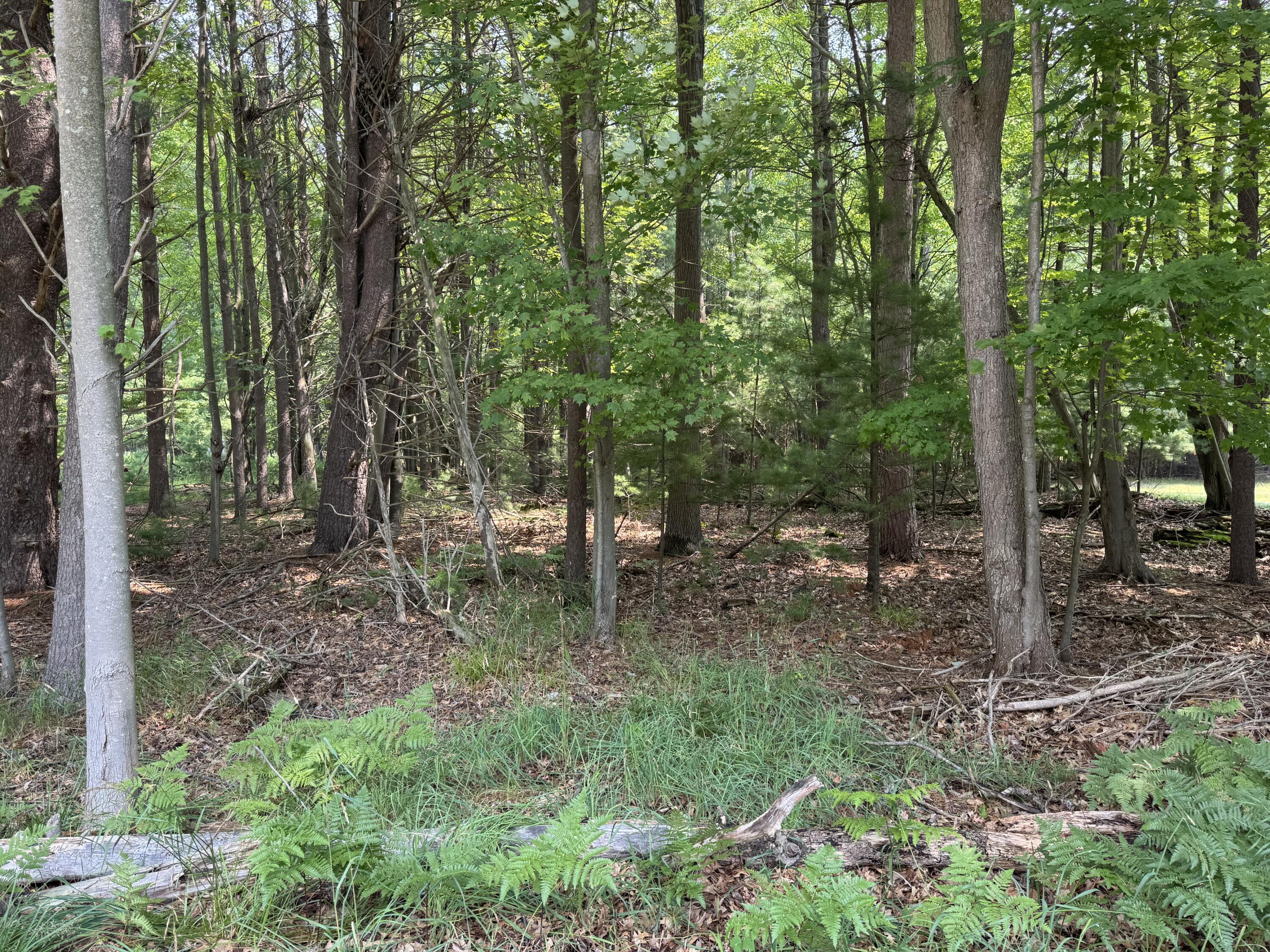 Property Photo:  Vl 3rd Avenue  MI 49449 