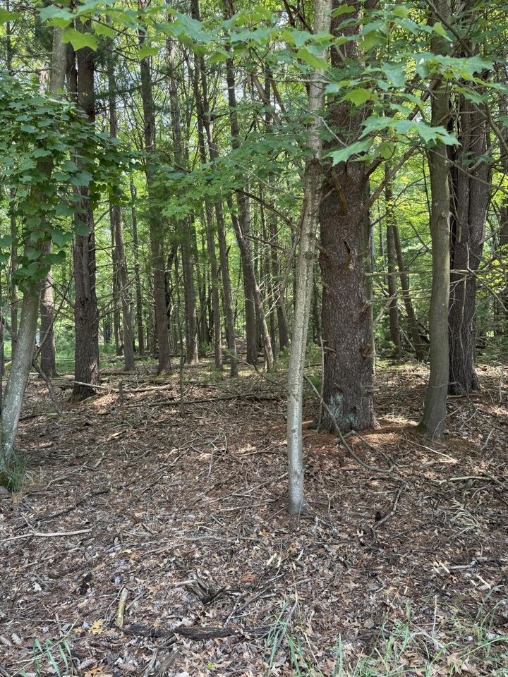 Property Photo:  Vl 3rd Avenue  MI 49449 