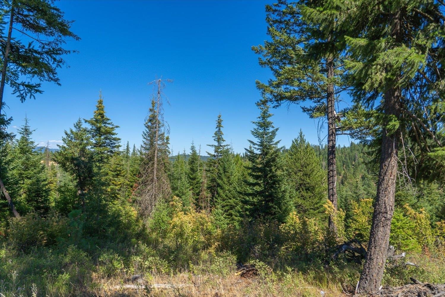 Property Photo: 21620 E Lakeview Rd WA 99027