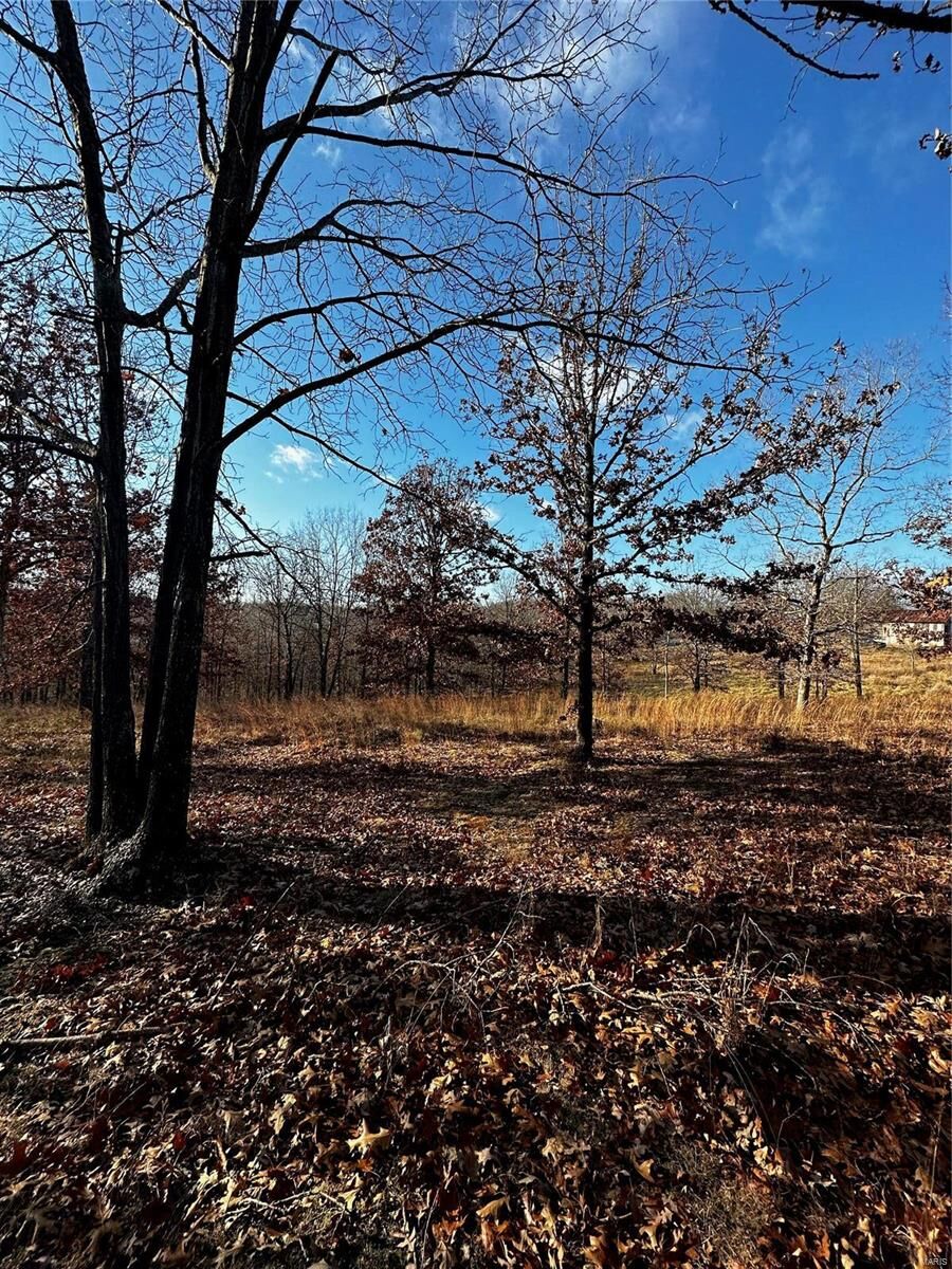 Property Photo: 10006 Radio Station Road MO 63630