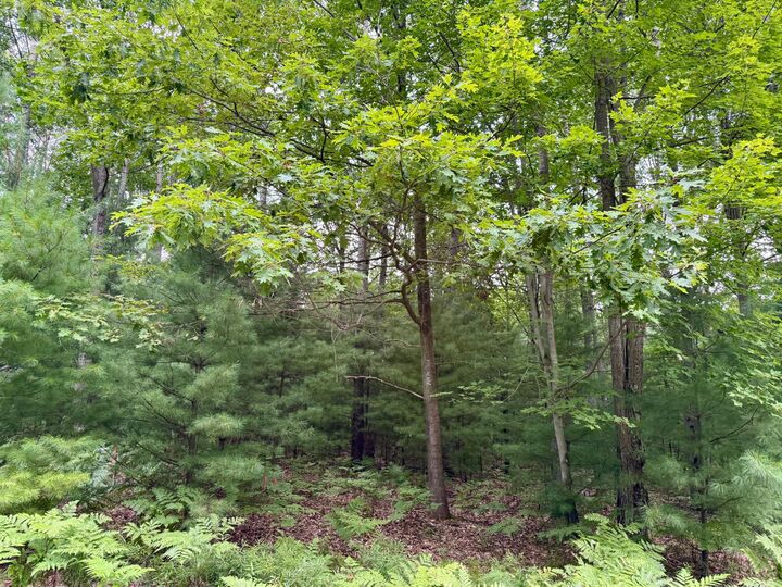 Property Photo: 6362 Cedar Trace MI 49346