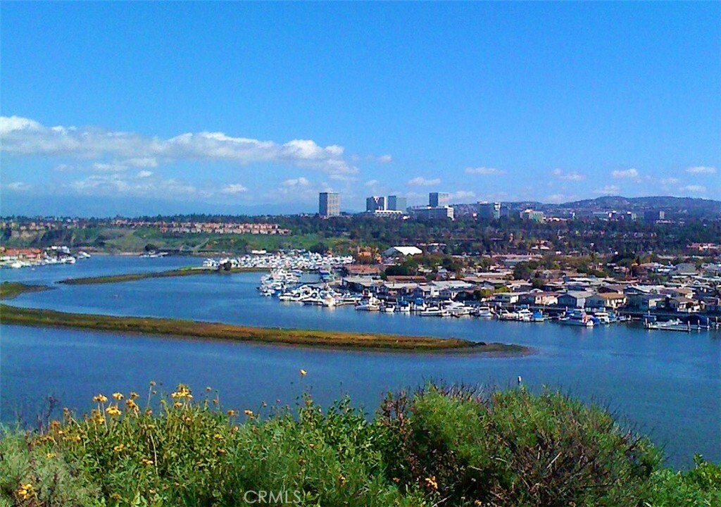Property Photo:  262 Mayflower Drive  CA 92660 
