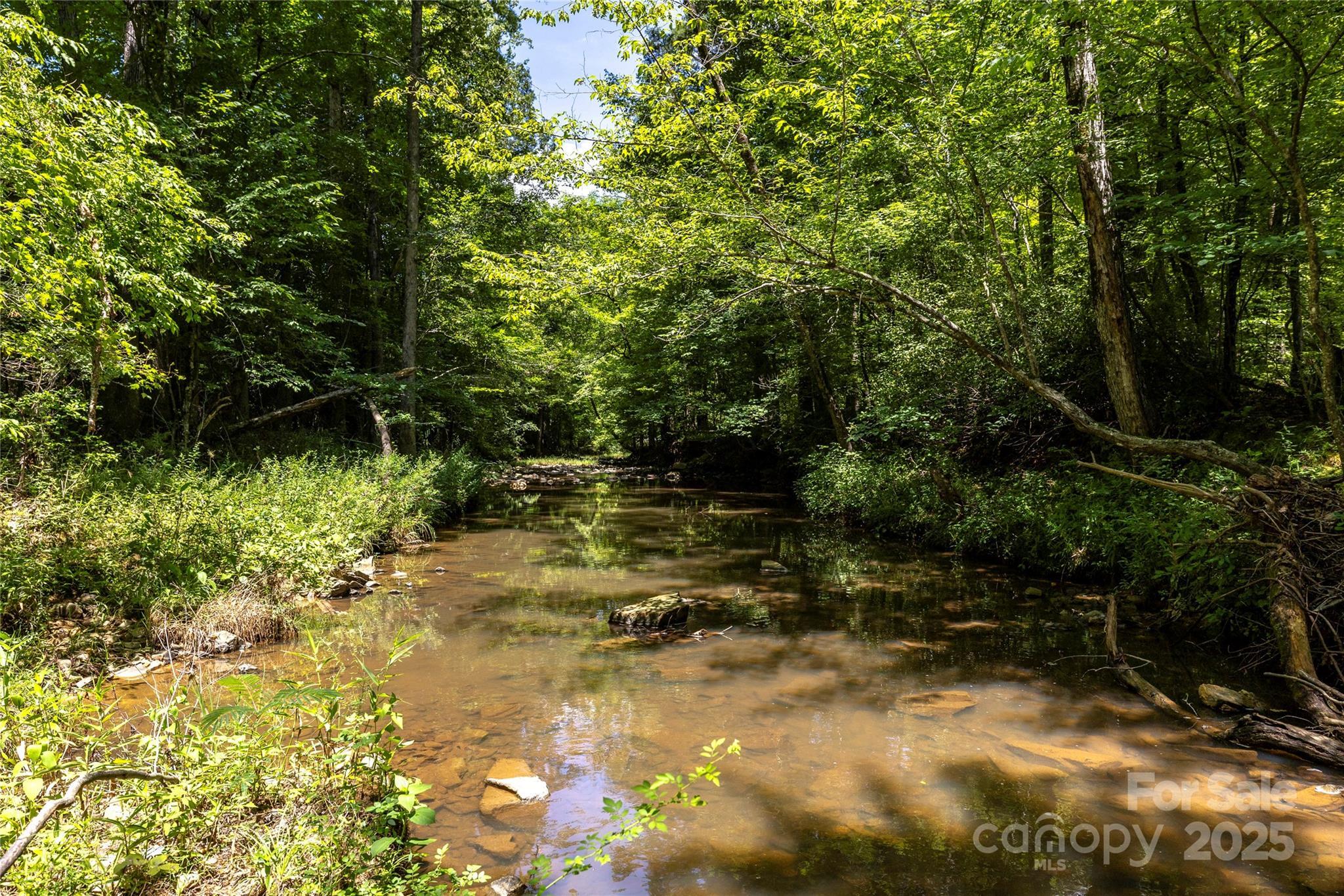 Property Photo: 0 Pageland Highway SC 29720