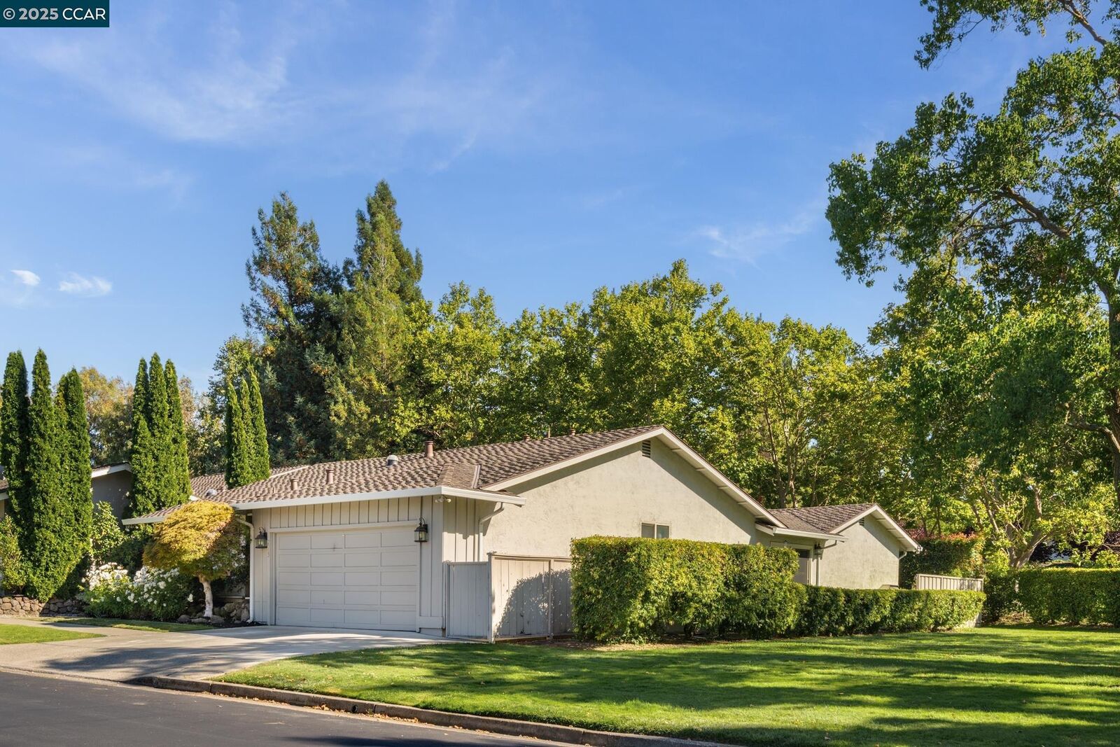 Property Photo:  2003 Saint George Rd  CA 94526 