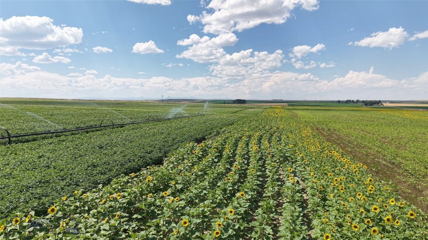 Property Photo:  Tract 5 (82 Acres) Churchill Road  MT 59741 