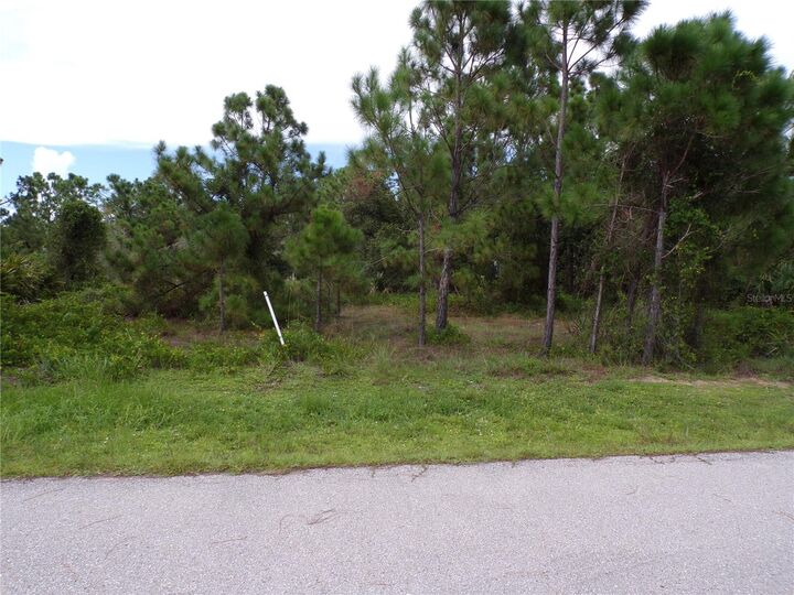 Property Photo:  27058 Saffron Drive  FL 33955 