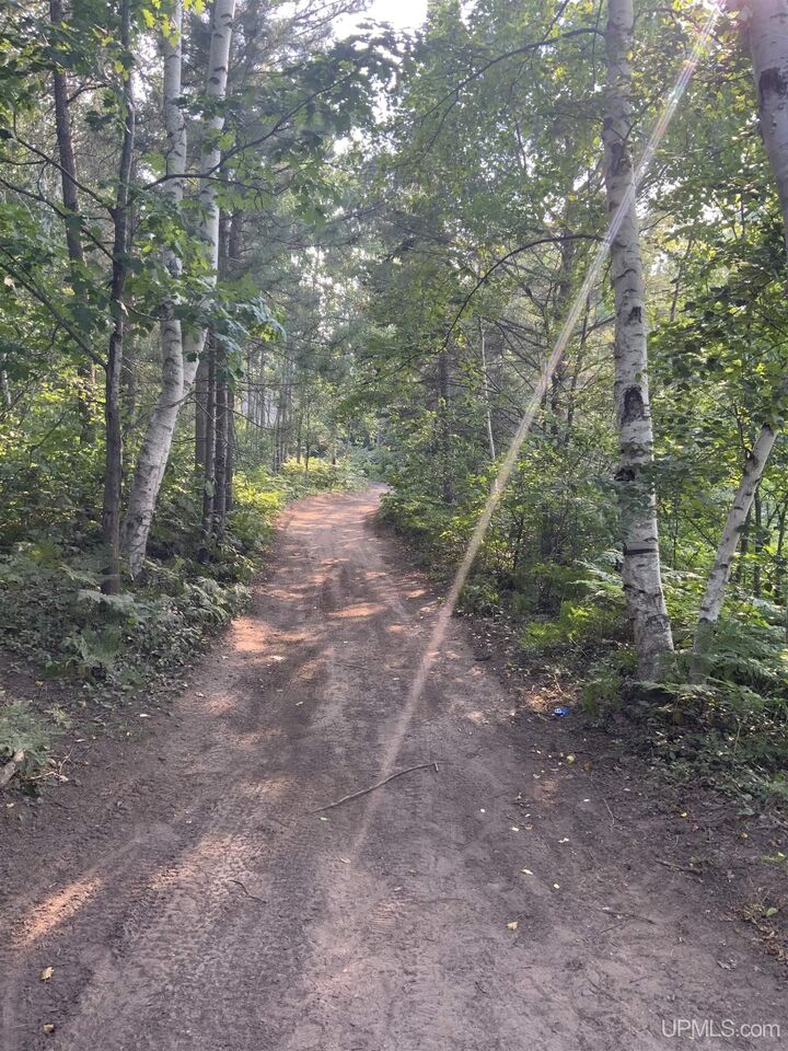 Property Photo:  1591 E Millyard Road  MI 49841 