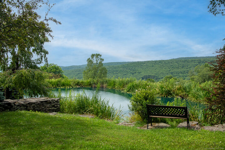 Property Photo:  94 Overlook Drive  NY 13731 