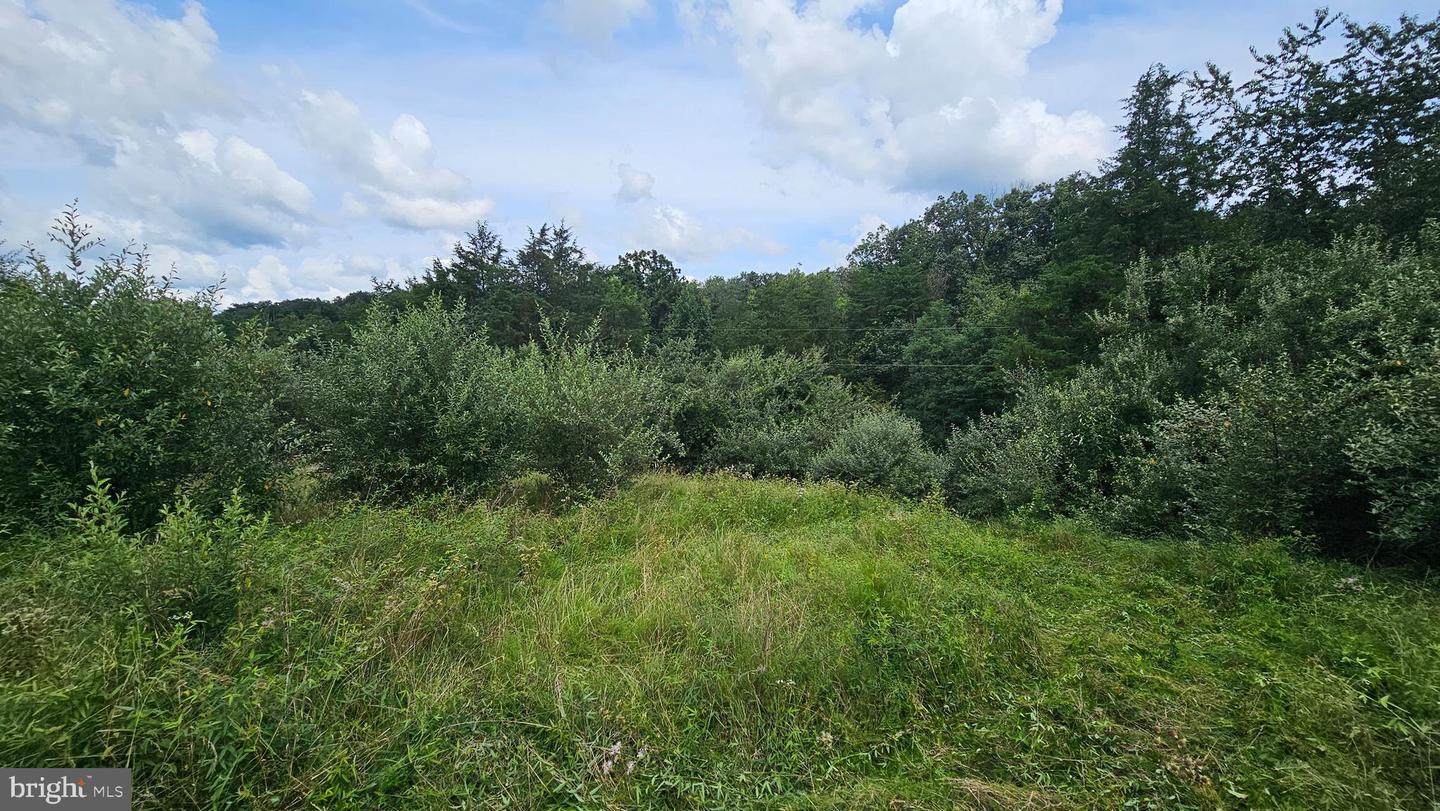 Property Photo:  11 Wisteria Ridge Road  WV 26711 