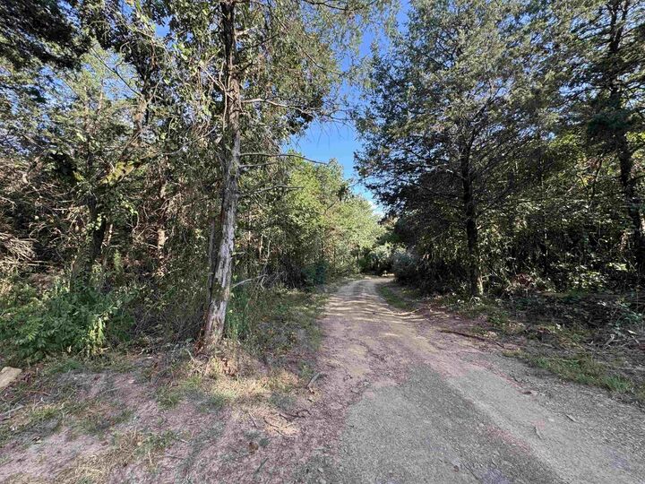 Property Photo:  000 Leftwich Lane  AR 72927 