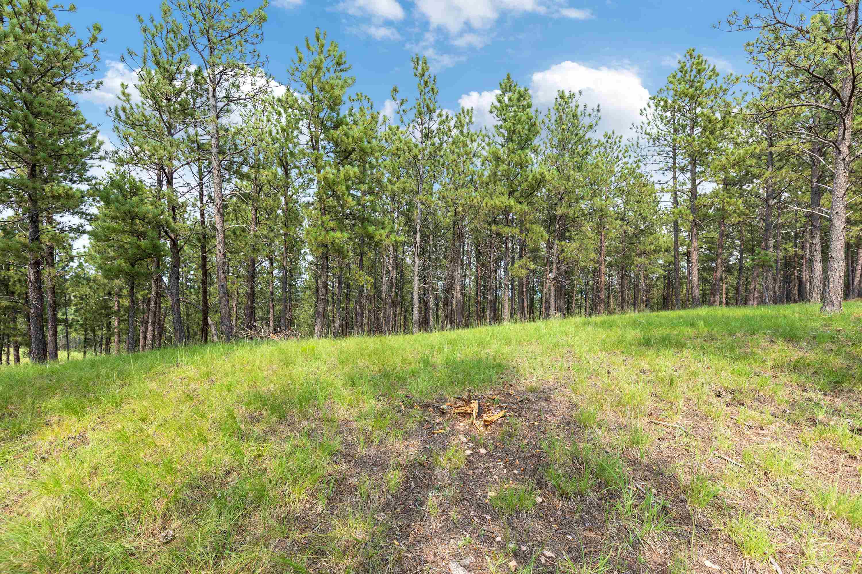 Property Photo:  Tbd Borglum Road  SD 57751 