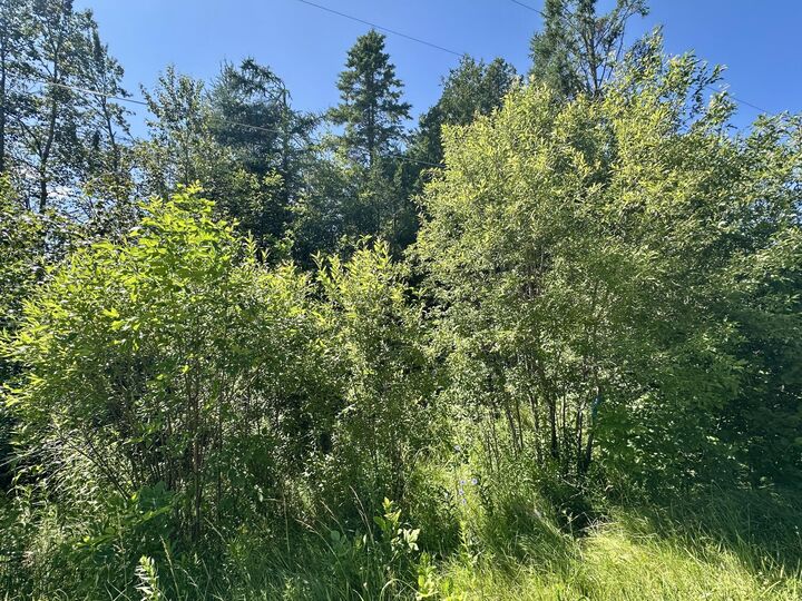 14371 Stoney Pointe Road  Cheboygan MI 49721 photo