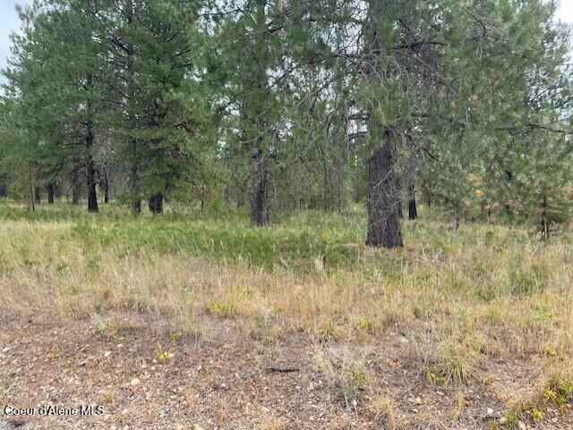 Property Photo:  Lot 4 Sheep Springs Rd  ID 83801 