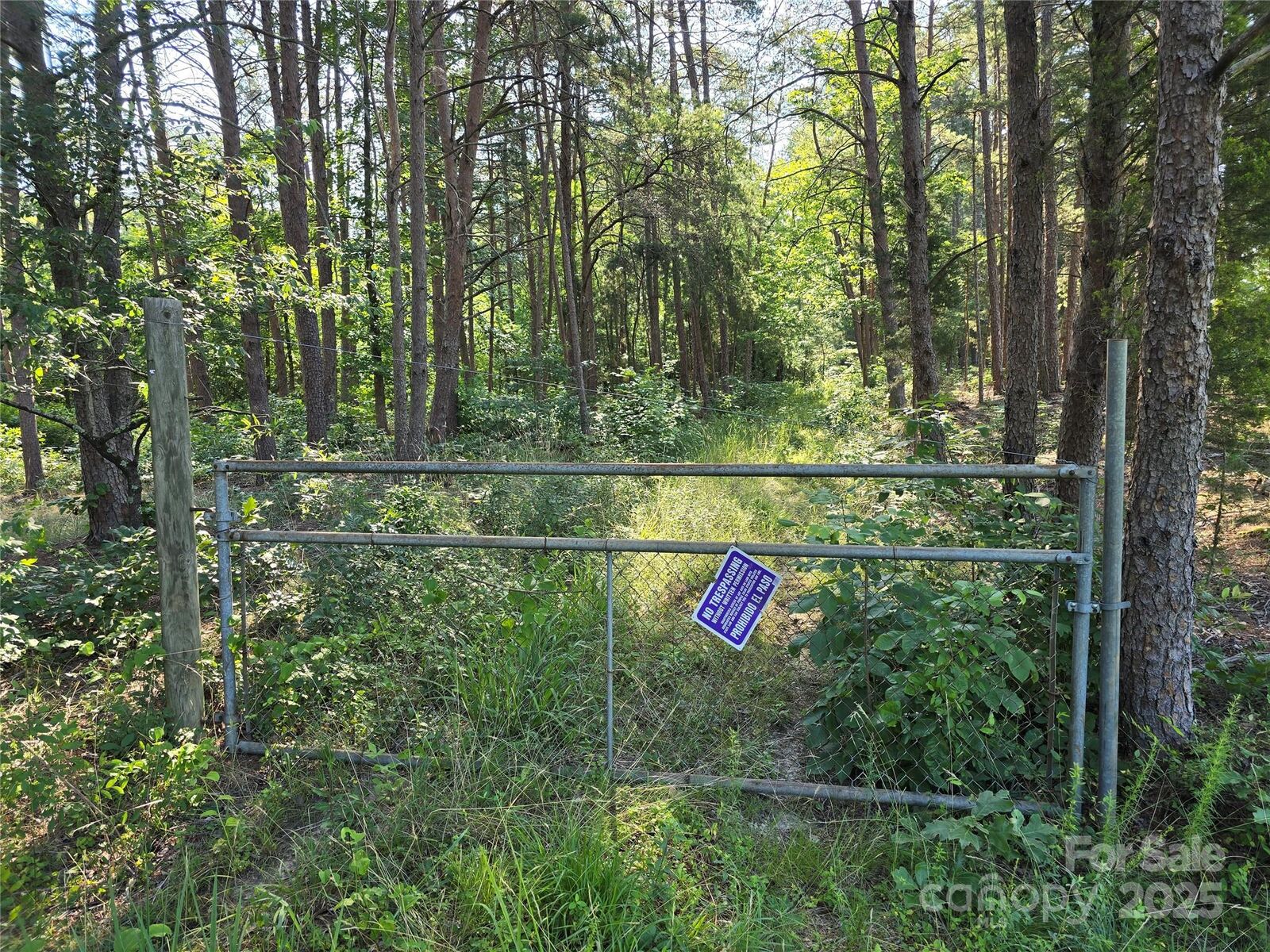 Property Photo: Tbd Wildwood Road NC 28146