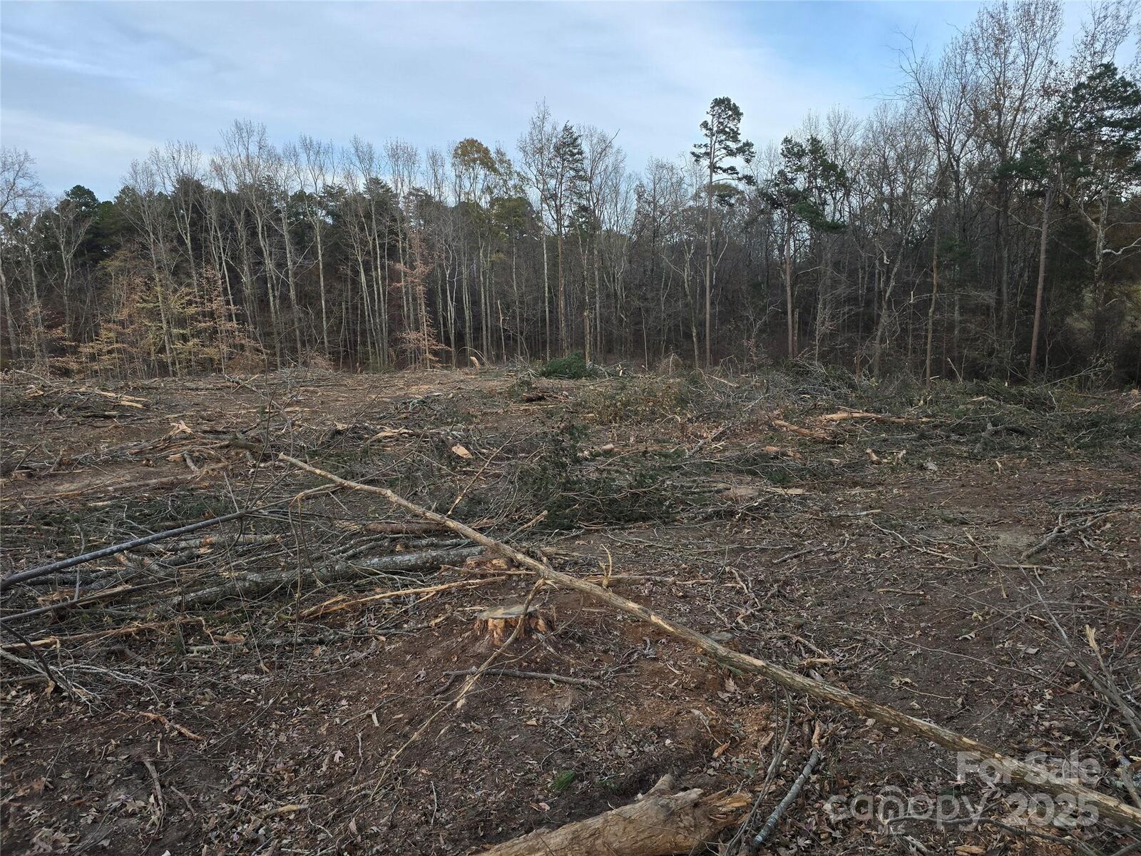 Property Photo: Tbd Wildwood Drive NC 28146