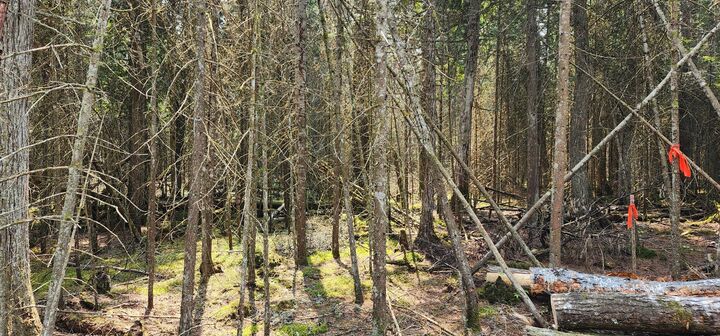Property Photo:  1 N Shiawasee Trl  MI 49745 