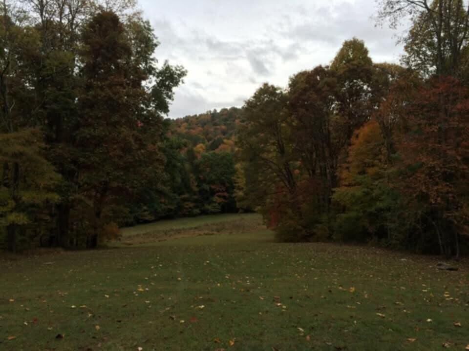 Property Photo:  1099 Hominy Creek Rd  WV 26679 