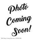 508 Red Cedar  Williamston MI 48895 photo