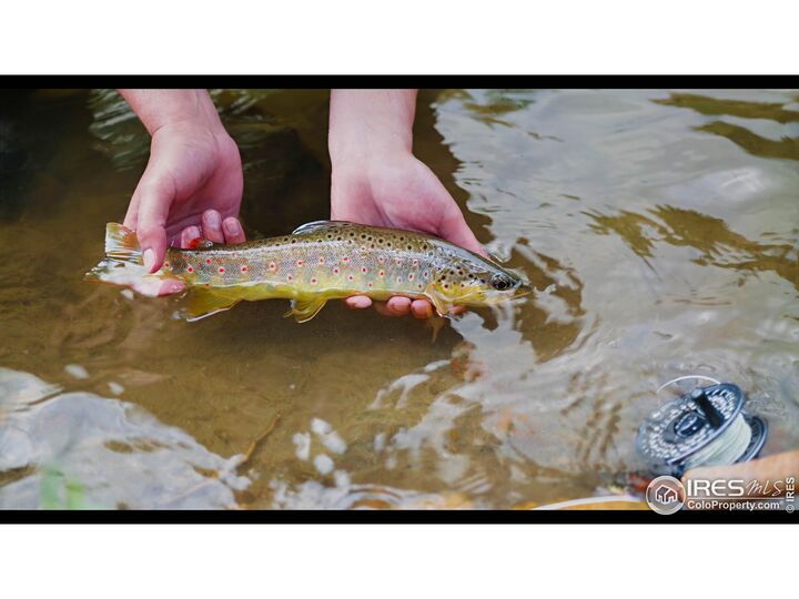 Property Photo:  37797 W Highway 14  CO 80512 