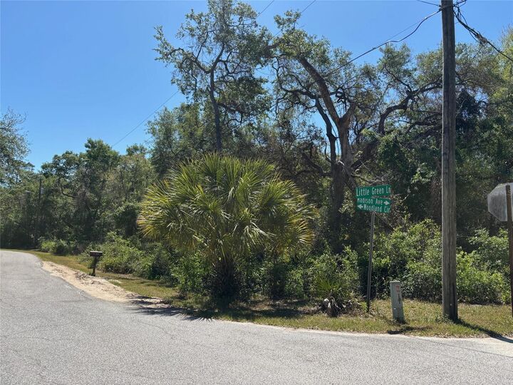Property Photo:  Lot 175C Madison Avenue  FL 33523 