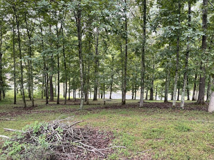 Property Photo: 0 Cove Ln TN 38464