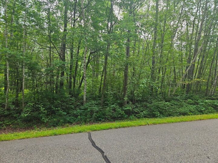 Property Photo:  Lot 4 Blk 2 SW 1st Avenue  MN 55744 