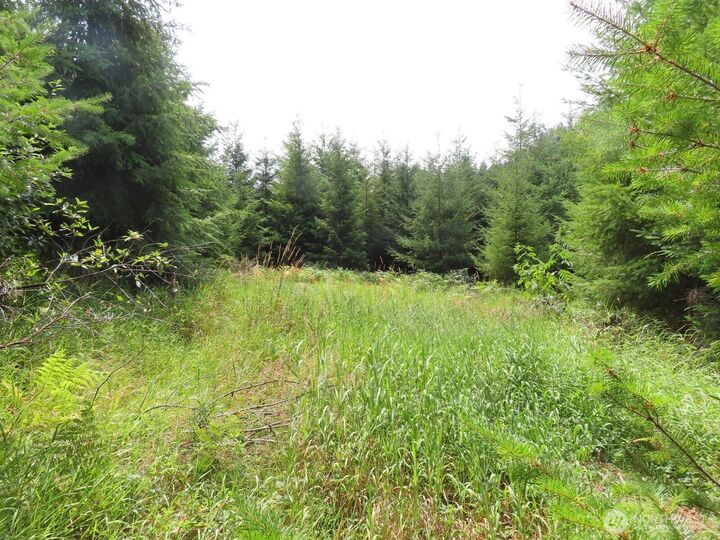 Property Photo: 0 Lot E Mill Creek Lane WA 98632