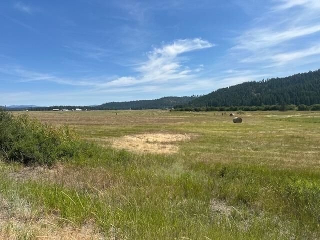 Property Photo: 46xx Springdale Hunters Rd WA 99173