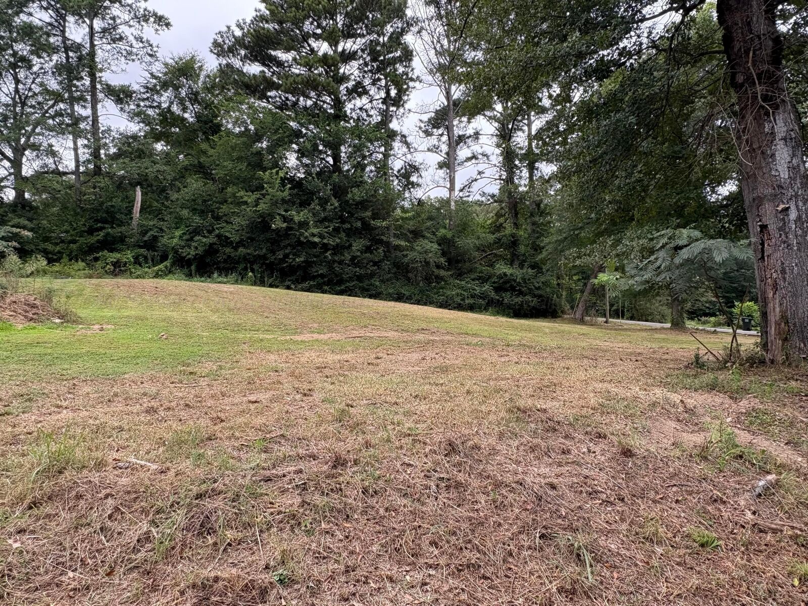 Property Photo:  3rd Pl  AL 35501 