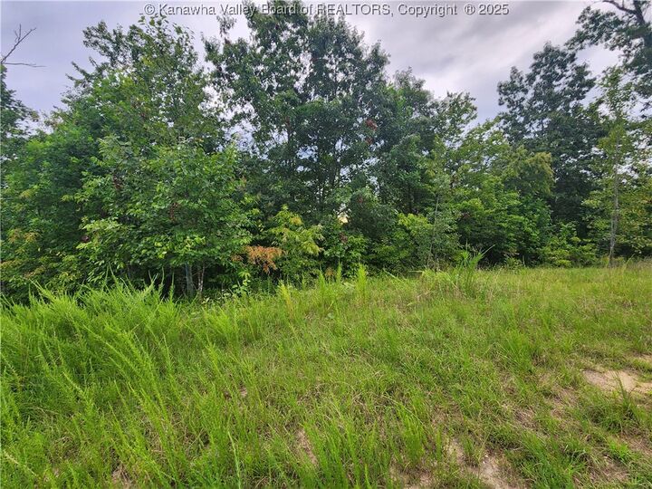 Property Photo: 00 Mountain Highland Ridge WV 25003