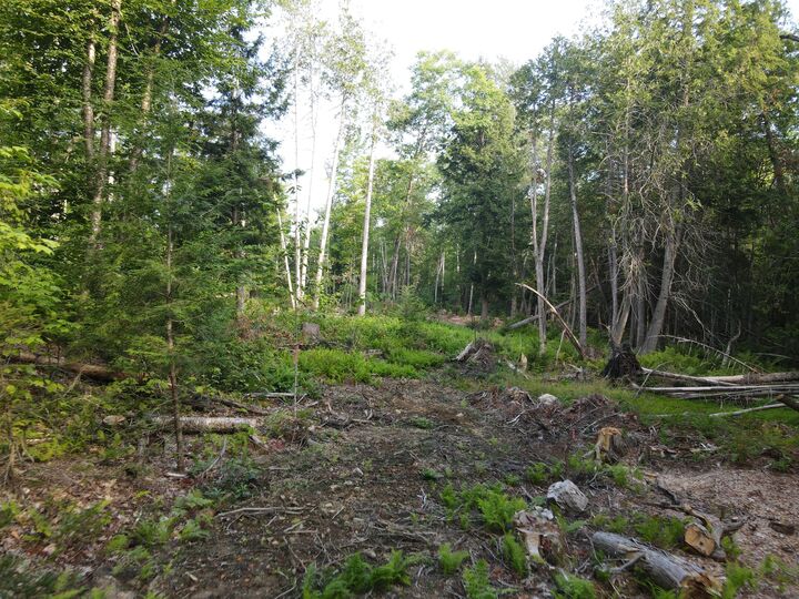 Property Photo: Lot 7 Oak Pond Road ME 04967