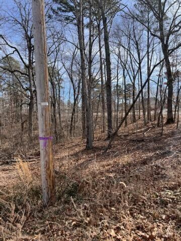 Property Photo: Lot 1 Ealing Circle AR 72714