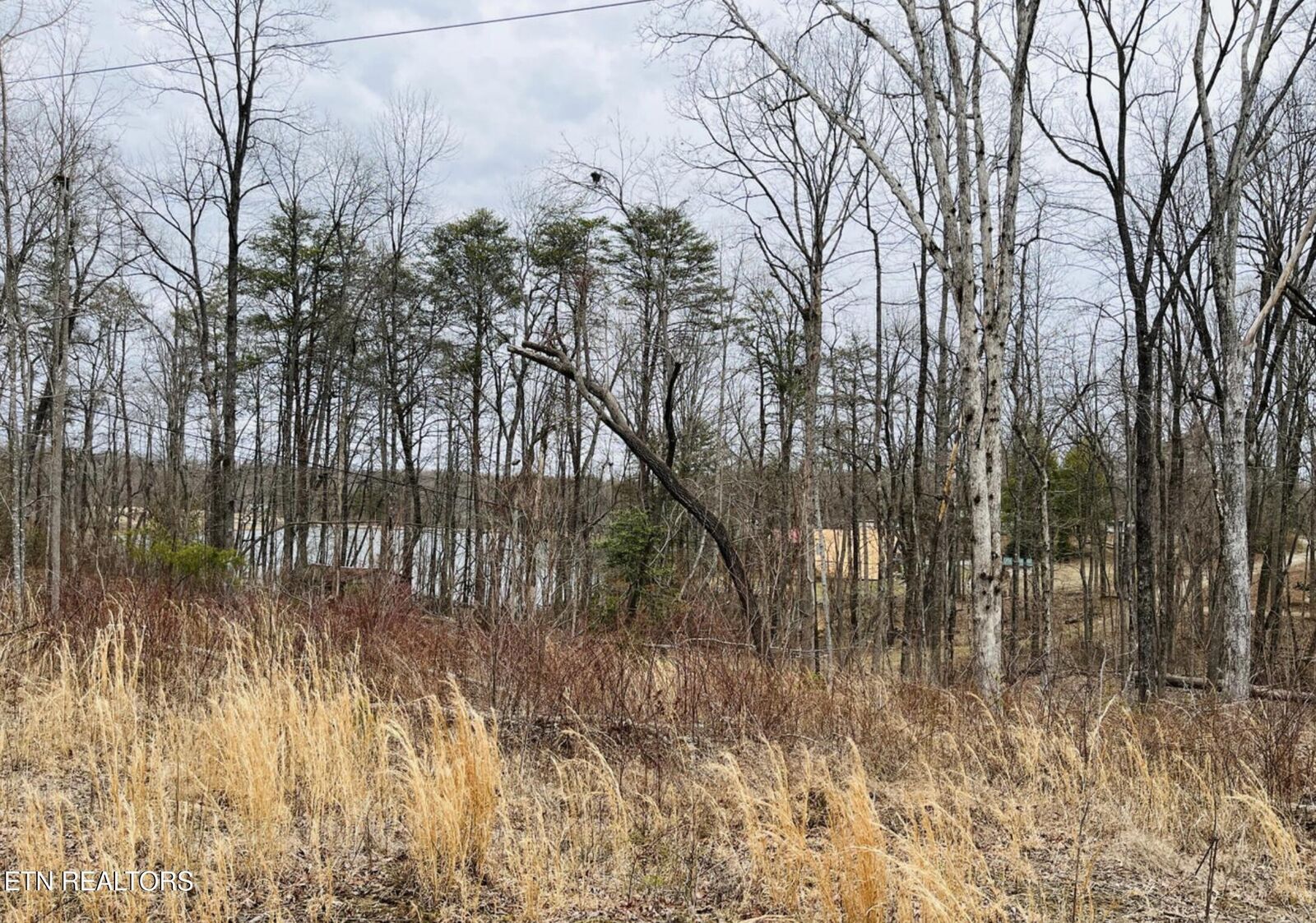 Property Photo:  3 Tresa St  TN 38572 