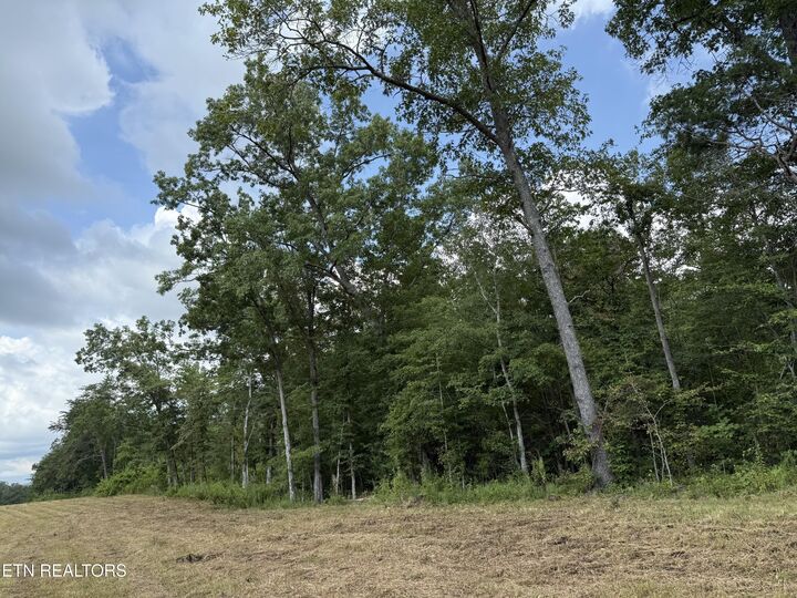 Property Photo:  2571 Bellview Rd  TN 37367 