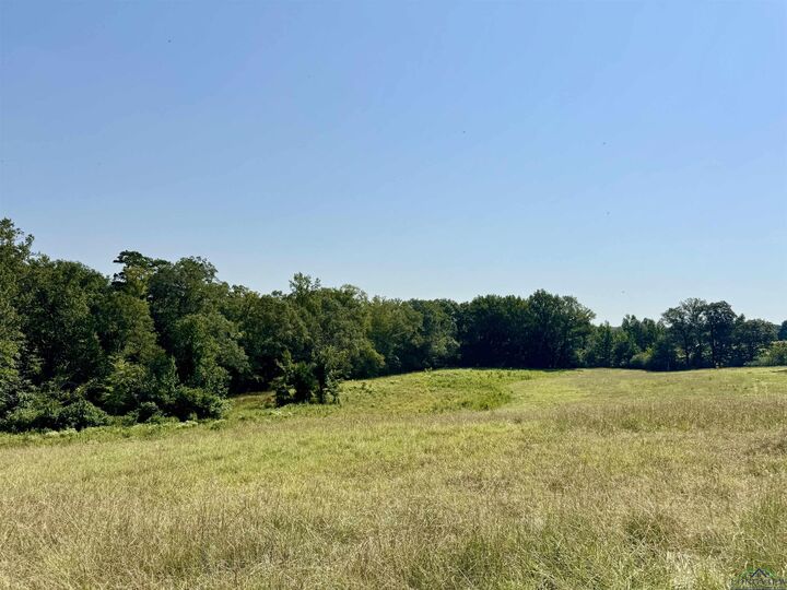 Property Photo: 0000 Hwy 59 N TX 75563