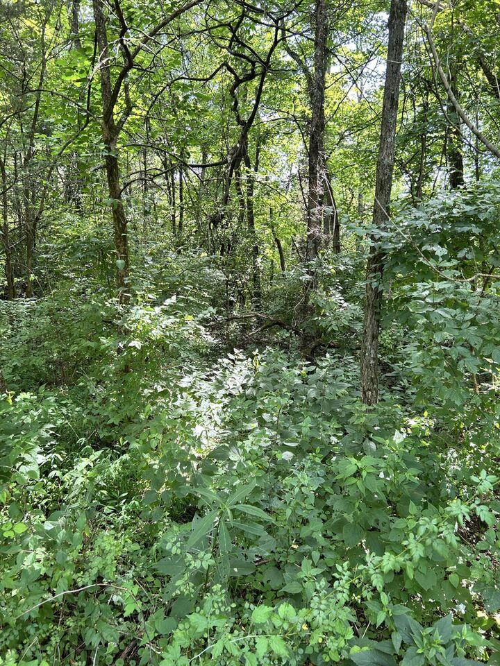 Property Photo:  2184 Shadrick Ferry Road  KY 40601 