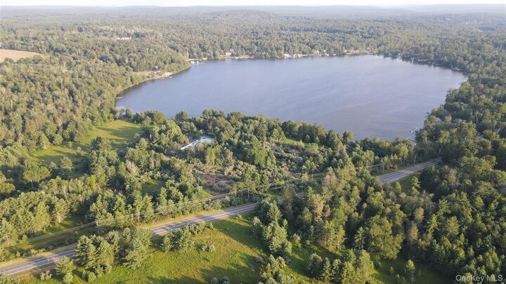 324 Acres Sackett Lake Road  Monticello NY 12701 photo