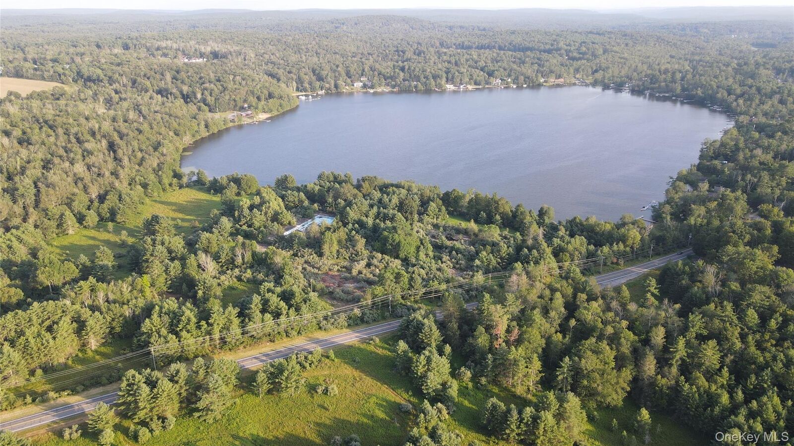 Property Photo: 324 Acres Sackett Lake Road NY 12701