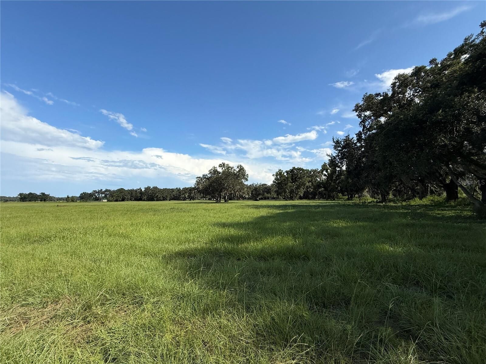Property Photo:  C 478A  FL 33597 