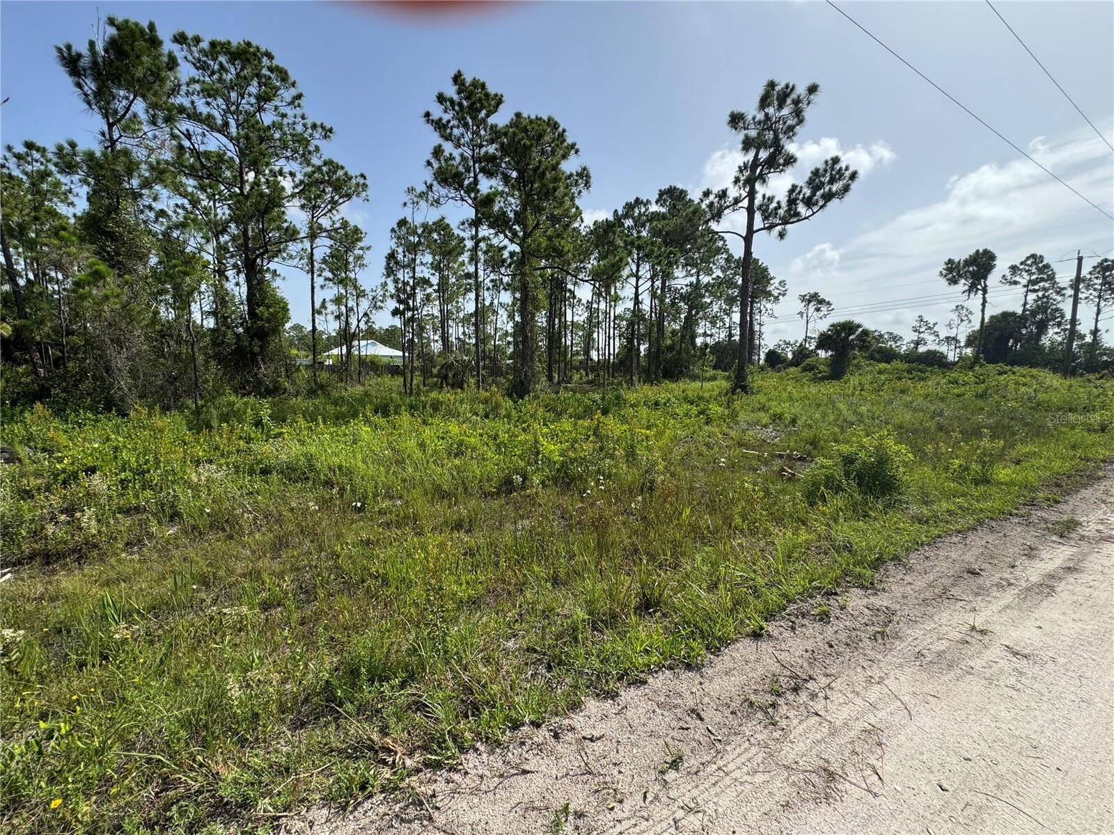 Property Photo: 29528 Clara Drive FL 33982