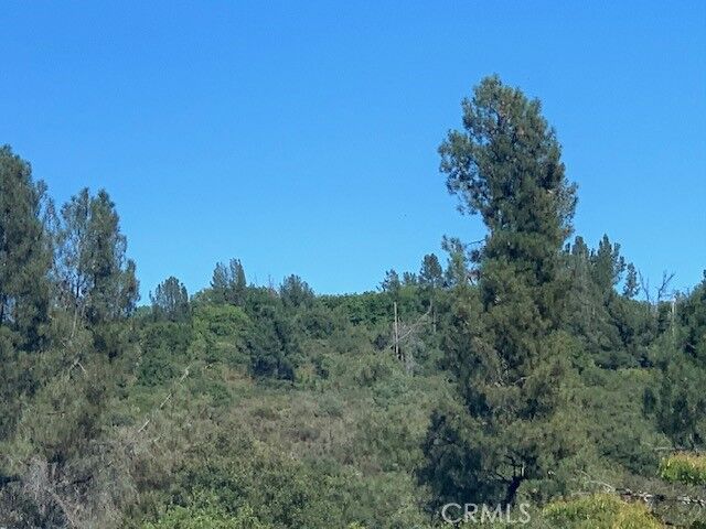 Property Photo: 9510 Bottle Rock Road CA 95451