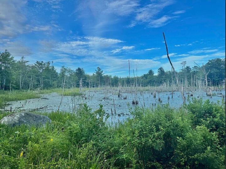 Property Photo: Lot 31 Lane Road ME 04622