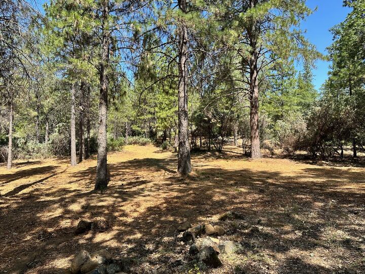 Property Photo:  1835 E Summit View Drive  CA 95722 