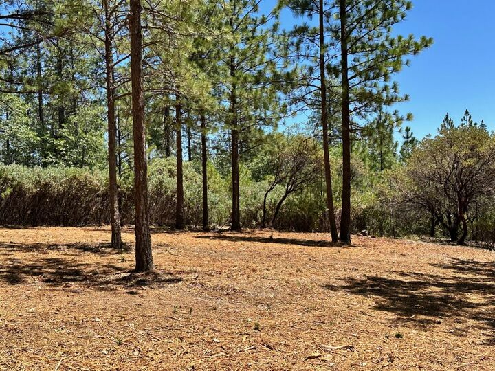 Property Photo:  408 E Summit View Drive  CA 95722 