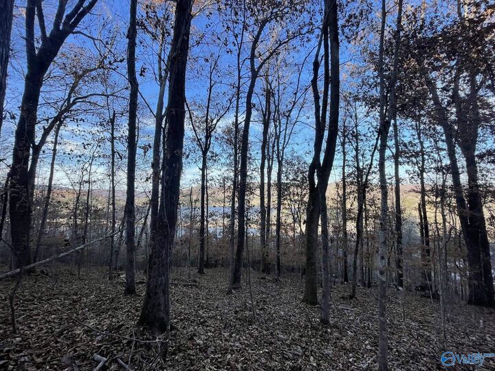 Property Photo: 4.08 Acres Mitchell Hollow Road AL 35747
