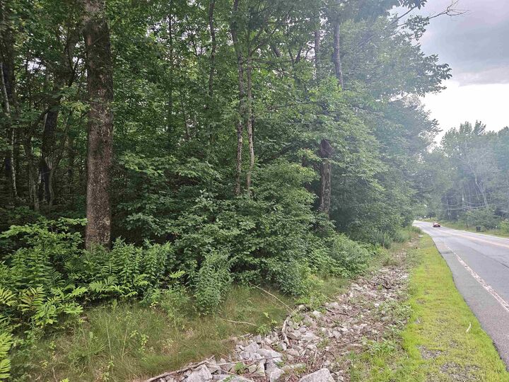 Property Photo: Lot 36 &Amp 37 Agassiz Street NH 03574