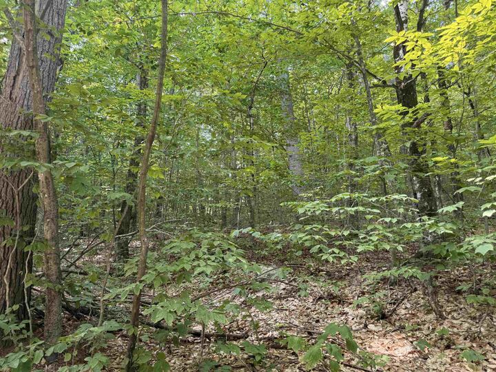 Property Photo: 28 Appenvel Way NH 03849